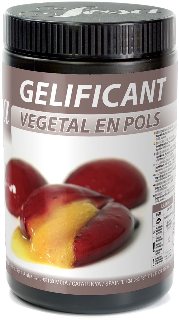 Powdered vegetable gelling agent 500 g Werners Gourmetservice