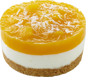 Bild på Kokos/mangodessert 16x90g