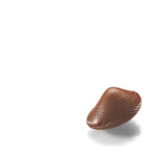 Bild på Pralin Seashells 5 sort Jivara